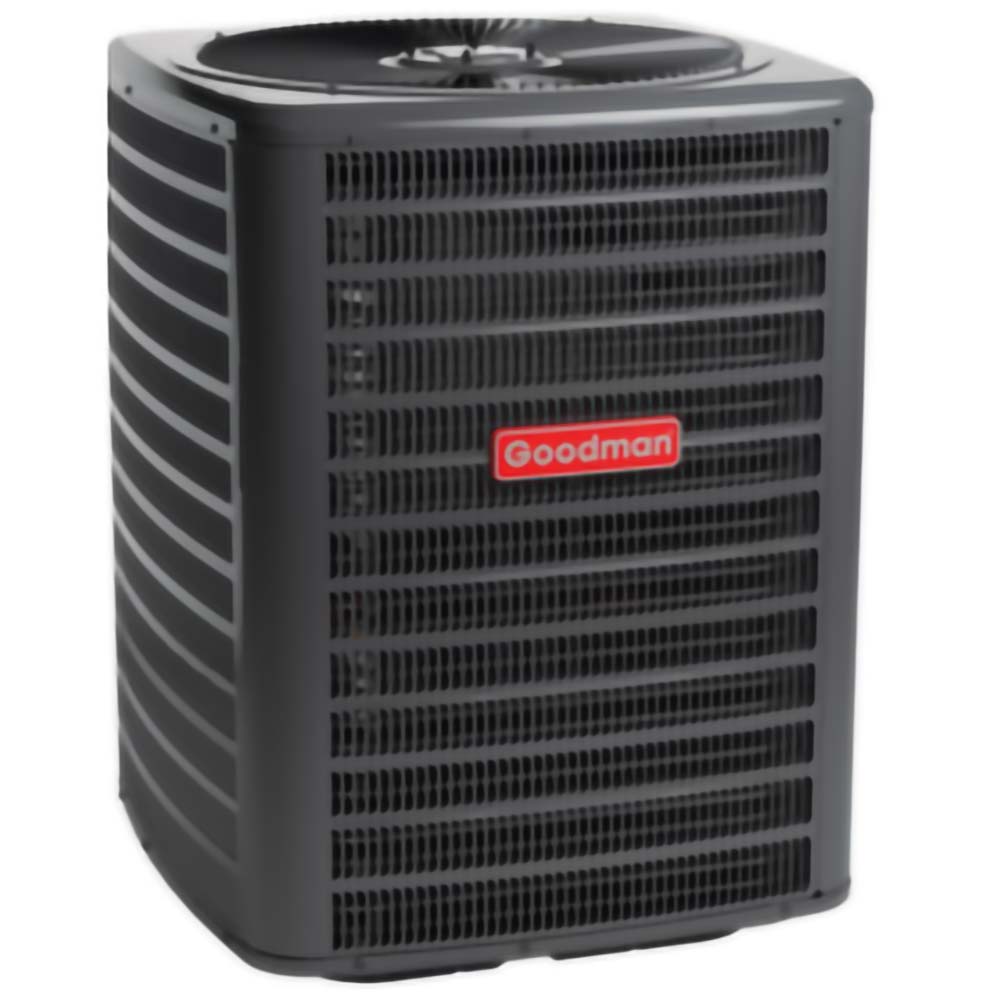 goodman 1